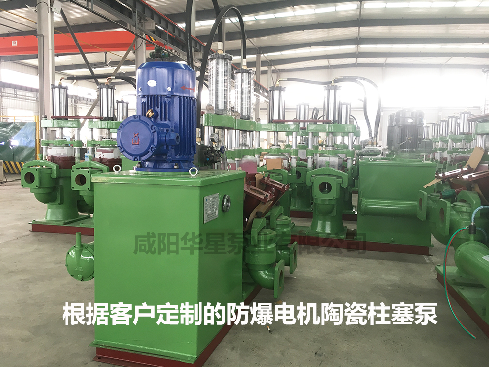 防爆電機(jī)款YB250-30柱塞泥漿泵