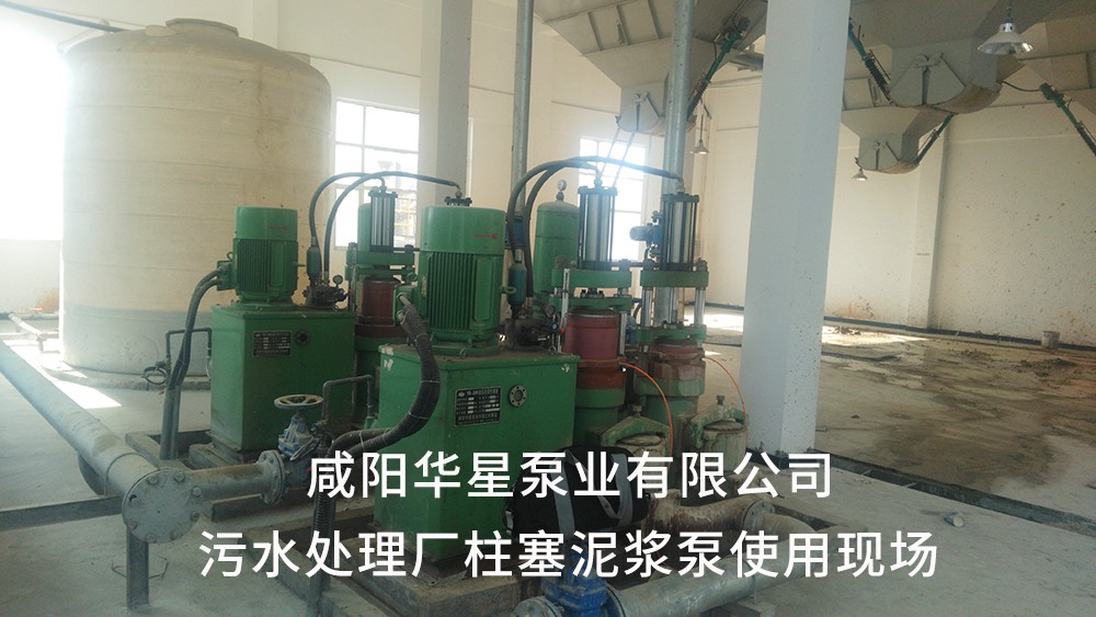 湖北仙桃污水處理廠2-水印